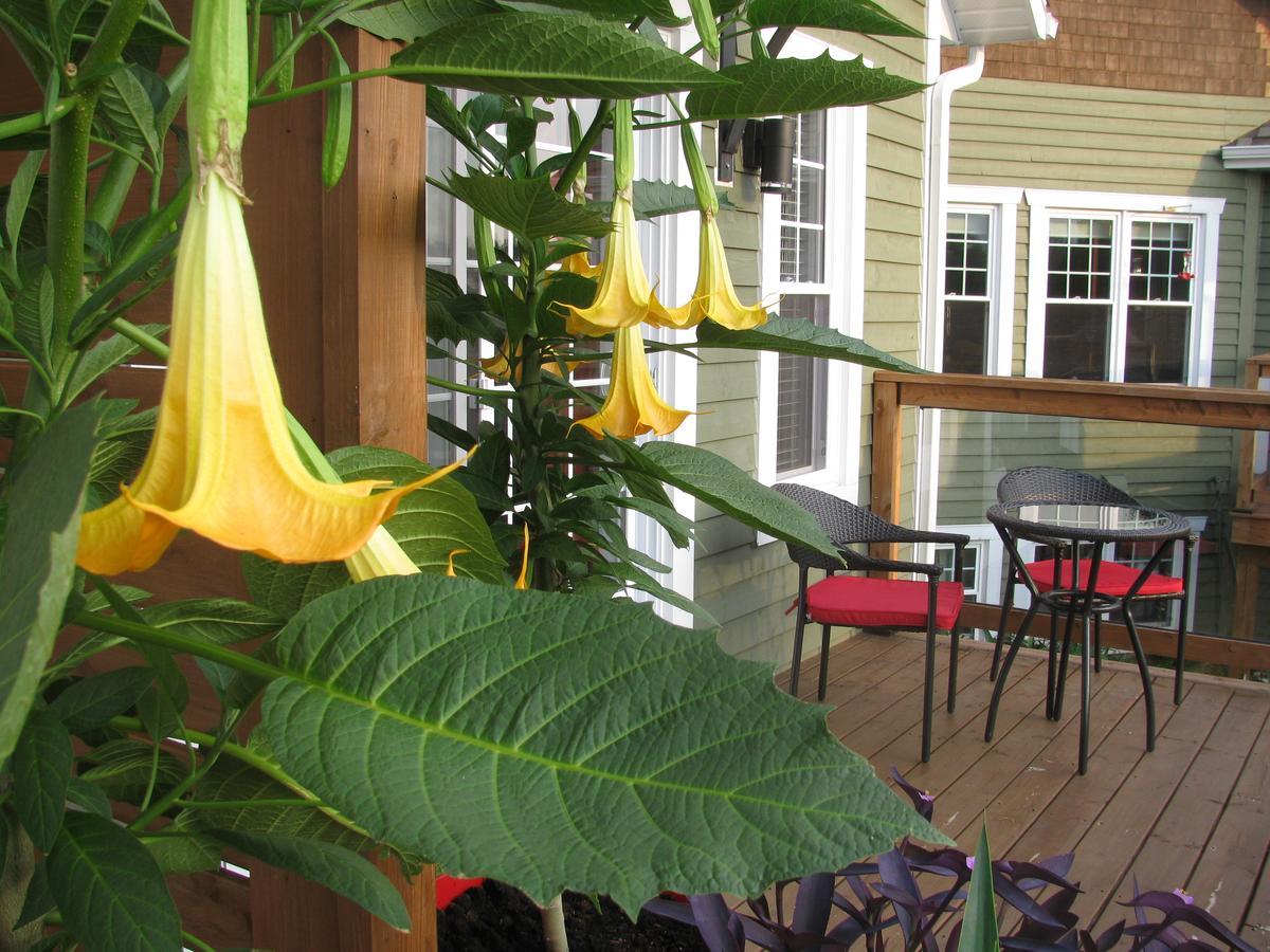 Gi'Temps Couette Et Cafe B&B Гранби Екстериор снимка